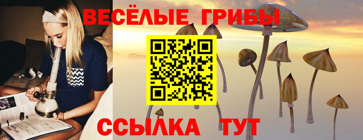 Псилоцибиновые грибы прущие грибы  Галлюциногенные грибы GOLDEN TEACHER  Красногорск  Вход с VPN 